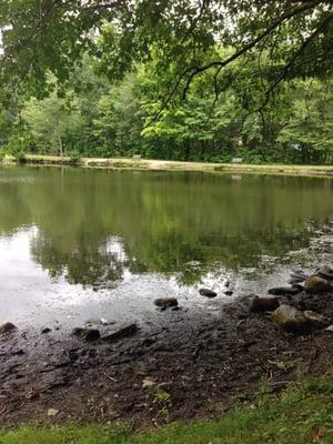 One of the lake views