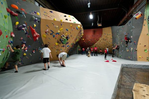 Bouldering room.