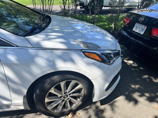 Pristine, unmarked, front of car except for factory defective paint.