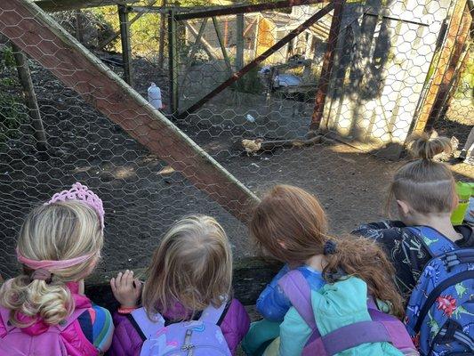 Parker kids visit Slide Ranch!