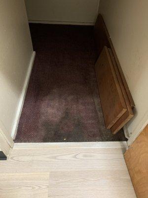 Under the stairs...hidden by front door. Why wasn't this taken up w/the new flooring? BLACK MOLD!