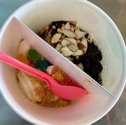 Half Dutch chocolate, Oreos, almonds on one side and the fruity pebble frozen yogurt with gummies, fruity pebbles cereal and gram cracker!