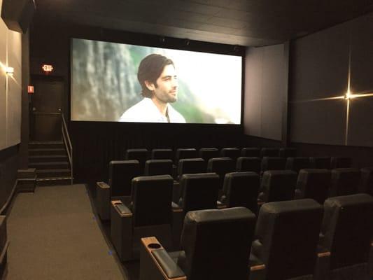 Seats and screen. Note each row gets substantially farther from the screen