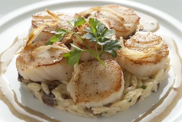 Roasted Sea Scallops