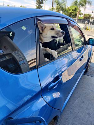 Getting gas