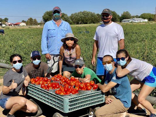 Rettig Farms