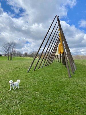 Stone Quarry Hill Art Park