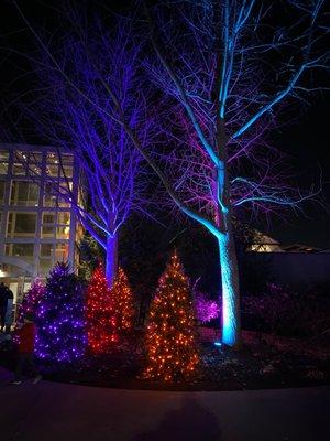 Conservatory AGLOW