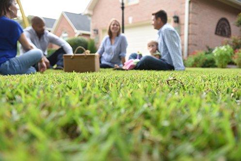 Weed Man Lawn Care