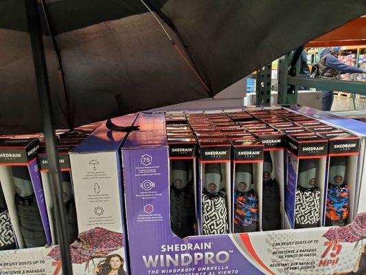 Windpro umbrellas (I didn't open that umbrella)