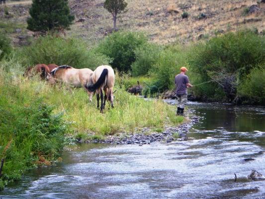 Just one of the many great places we guide anglers and host fishing schools.