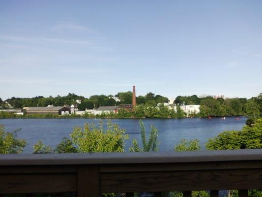 Peaceful view from the porch.