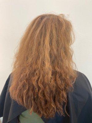 This is a before picture of a new guest that came in to learn about her curls and to find products that fit best for her hair