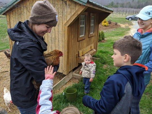 Farm to School