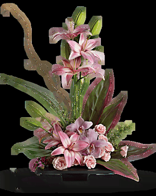 This is what it should look like! Better yet check the Teleflora site for Imagination Blooms with Cymbidium Orchids for a full description.