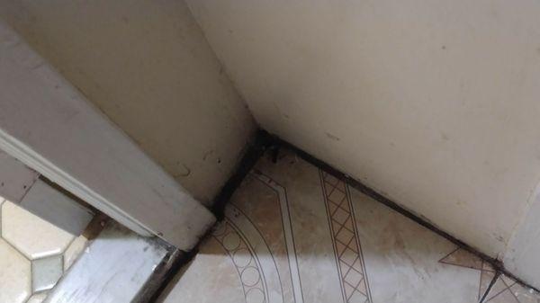 Unswept floors, grout and dirt between corners