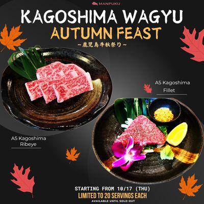 Kagoshima Wagyu Autumn Feast