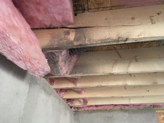 Broken floor joists that caused the entire house to be out of square.