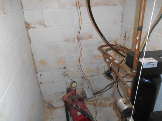 Mold on pump room walls because of moisture coming in from the outside.