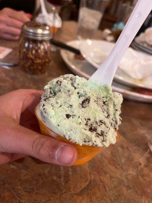 Chocolate Mint gelato