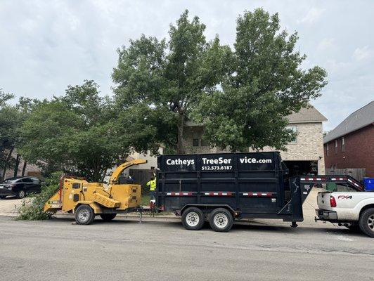 Cathey's Tree Service in progress