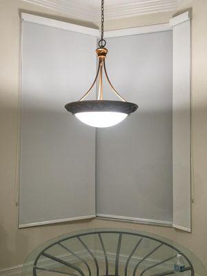 Blackout Roller Shade