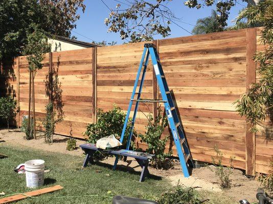 Beautiful Redwood fence, just built. No stain yet. Boards from Arrow Fence & Lumber