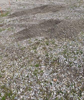 Our gravel driveway