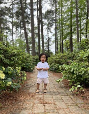 My nephew enjoying the gardens