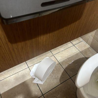 the women's bathroom is gross the toilet paper is on the floor because they don't know bother inserting the toilet paper properly.