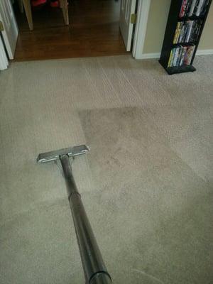 Precise Carpet Cleaning is IICRC Certified to work on warranted carpet.