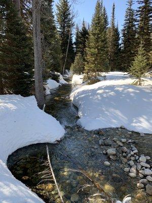 A creek we snowshoed by.