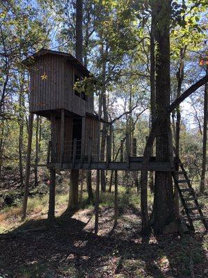 To find the treehouse from the lodge head turn left at meeting house and were it T's off, go right on the trail less traveled.