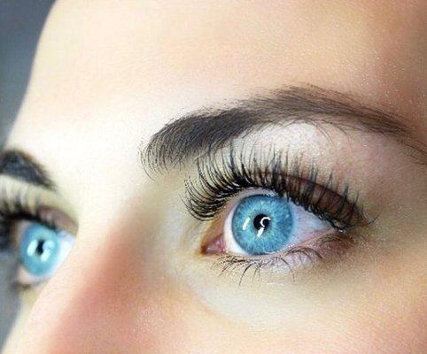 Perfect Lashes