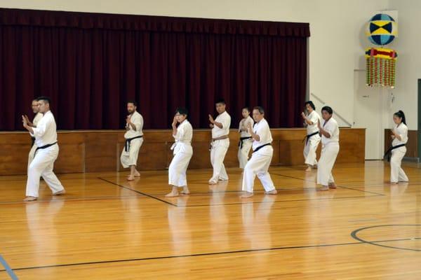 Group Kata - Heian Shodan