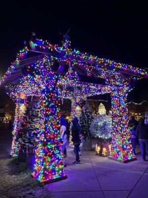 Gazebo in lights