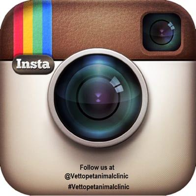 Follow us on instagram to see more of the clinic & its loving patients :)