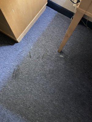 Carpet dirty