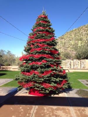 Christmas Season at the Gallery for brunch