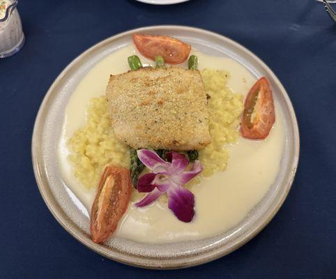 Striped bass with risotto and tomato