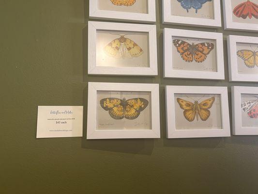 Love these painted butterflies by Sarahdrawsthings