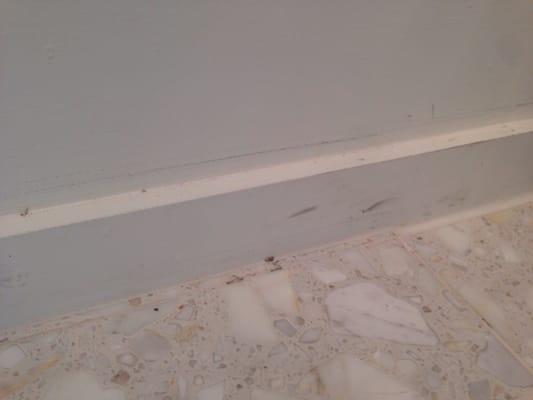 More baseboard issues after washing machine was repaired. They were spotless before.