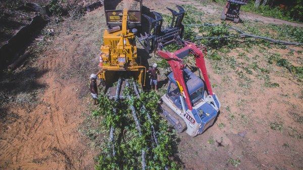 From high-atop this is how the process goes.  These machines love to be fed.  Learn more at www.SouthernTreePros.com