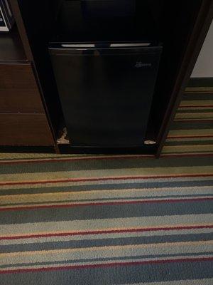 This is what the fridge is on and you can tell it needs replacing also a picture of the carpet.