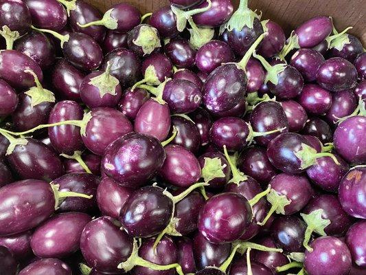 Japanese eggplant