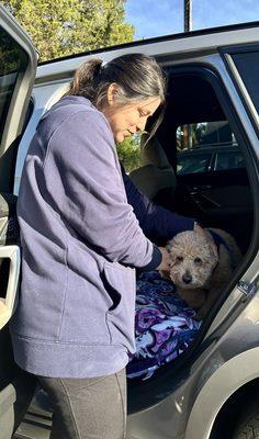 Hermoine getting her kennel cough vaccine from our vet technician.