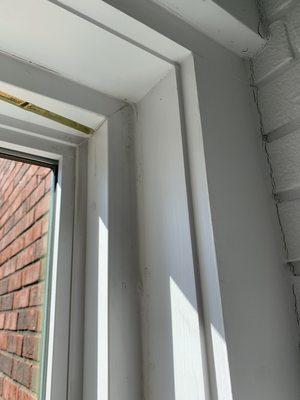 Cincinnati Window Design