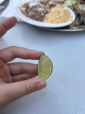 Hair on the lime.