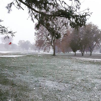 Snow on the coarse