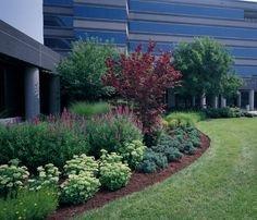 Commercial Landscaping